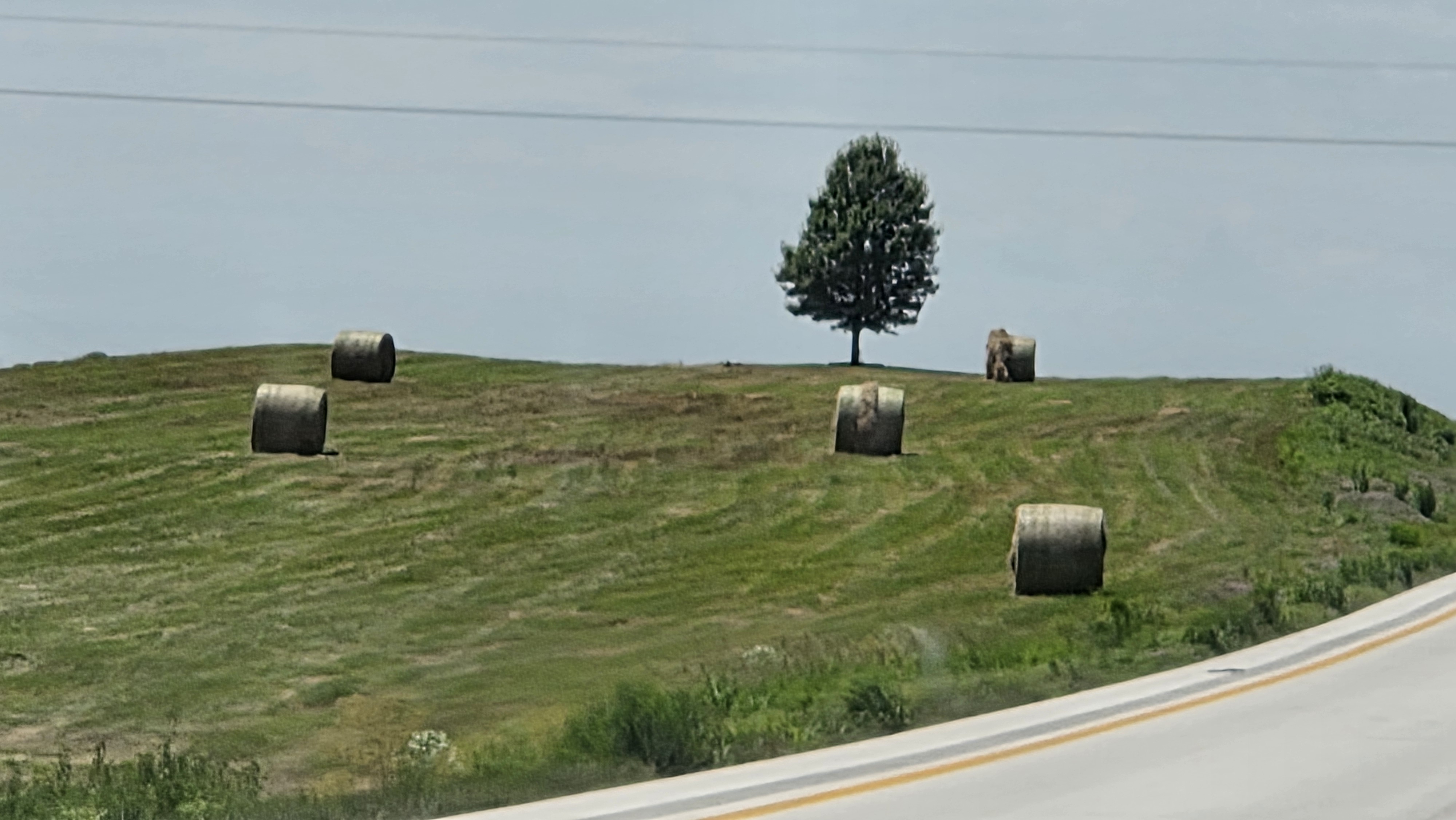 Hay Bales in Field