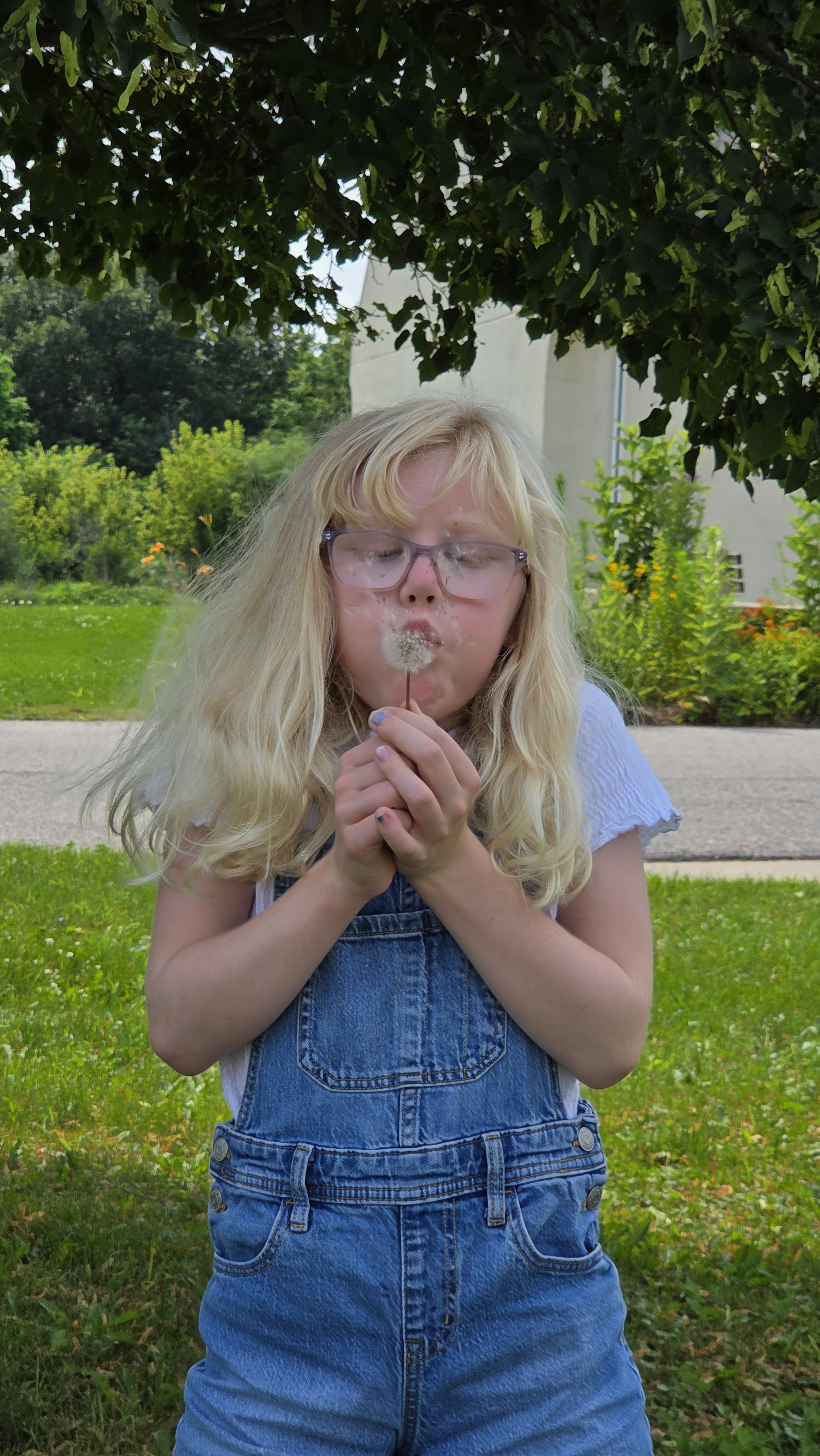 Camilla Dandelion